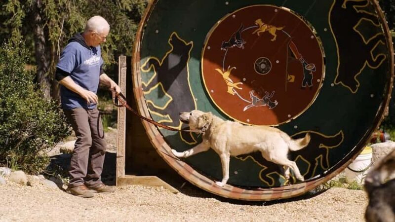 Denali: Husky Homestead Tour - Denali: Husky Homestead Tour — An Authentic Alaskan Experience