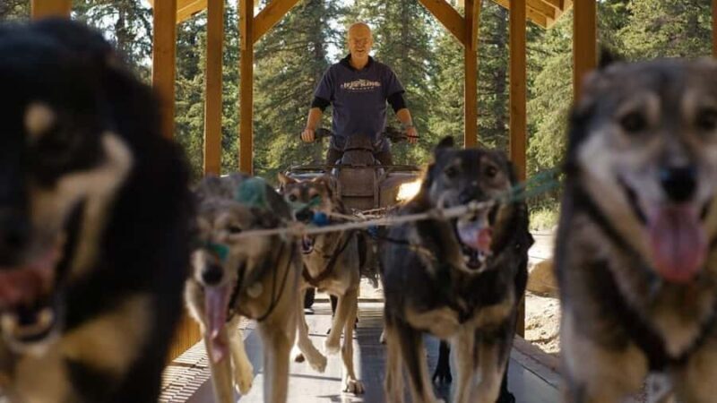 Denali: Husky Homestead Tour - Practical Details and Tips
