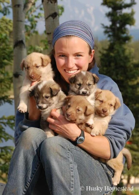 Denali: Husky Homestead Tour - Final Thoughts