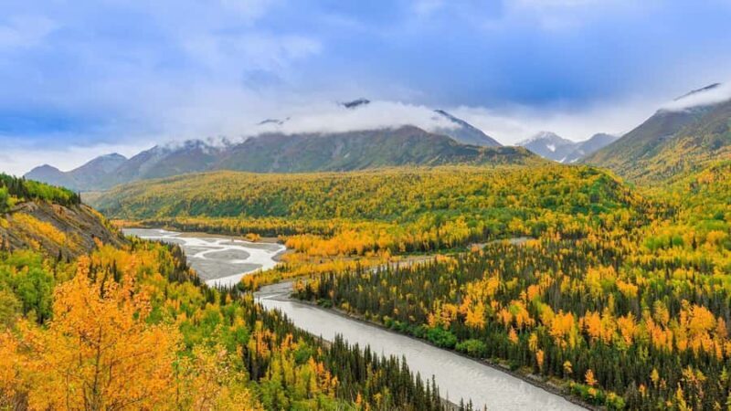 Denali in a Day  Full-Day Sightseeing Tour - Key Points