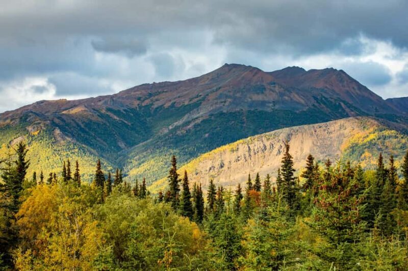 Denali in a Day  Full-Day Sightseeing Tour - Visiting the Denali Visitor Center & Local Landmarks