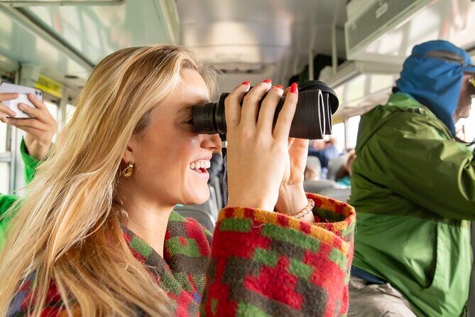 Denali in a Day Sightseeing Package - Exploring Denali in a Day: A Practical Guide to the Sightseeing Package