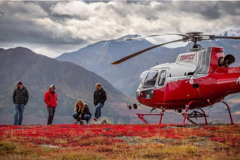 Denali National Park: Helicopter Ride over the Alaska Range - Exploring the Itinerary and Experience in Detail