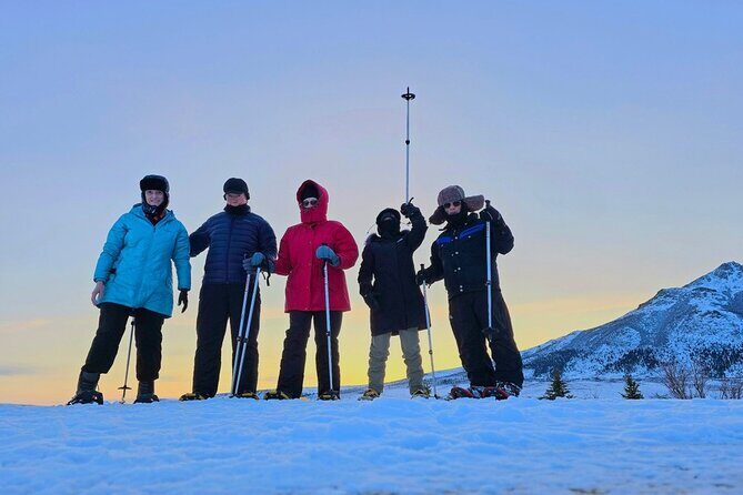 Denali National Park plus Aurora Chase Tour - Key Points