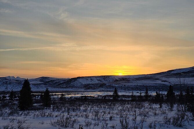 Denali National Park plus Aurora Chase Tour - Summary