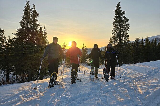 Denali National Park plus Aurora Chase Tour - FAQ