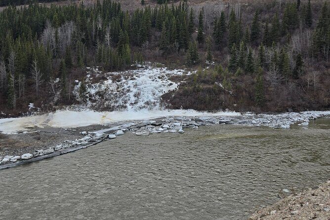 Denali National Park Shuttle - Exploring the Denali National Park Shuttle Experience