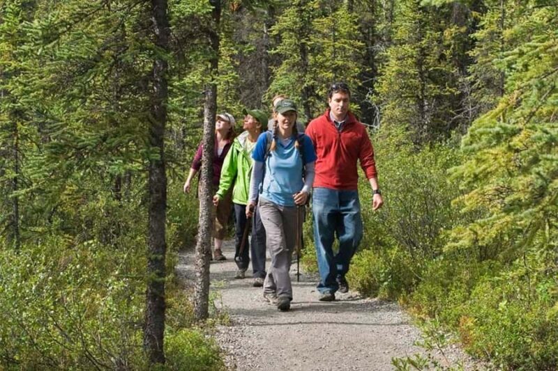Denali National Park: Triple Lakes Trail Guided Hike - Key Points