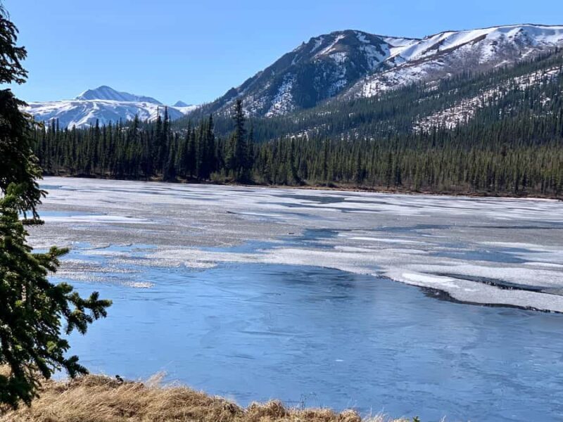 Denali National Park: Triple Lakes Trail Guided Hike - An In-Depth Look at the Denali Triple Lakes Trail Guided Hike