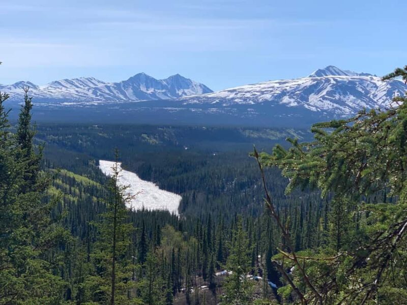 Denali National Park: Triple Lakes Trail Guided Hike - Final Thoughts: Why You Should Take This Hike