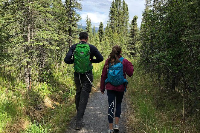Denali National Park Walking Tour - Final Thoughts