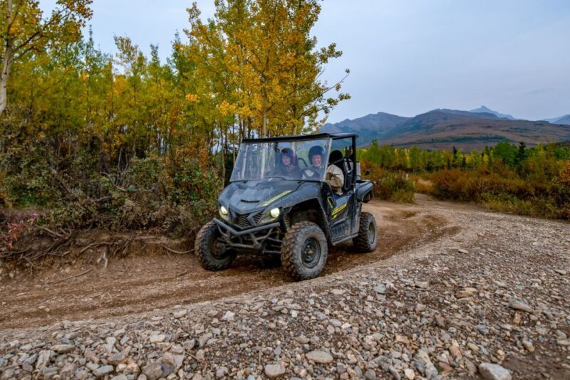 Denali National Park: Wilderness ATV Adventure - Denali National Park: Wilderness ATV Adventure