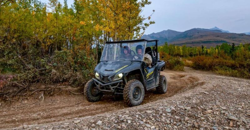 Denali National Park: Wilderness ATV Adventure - What We Love About This Experience
