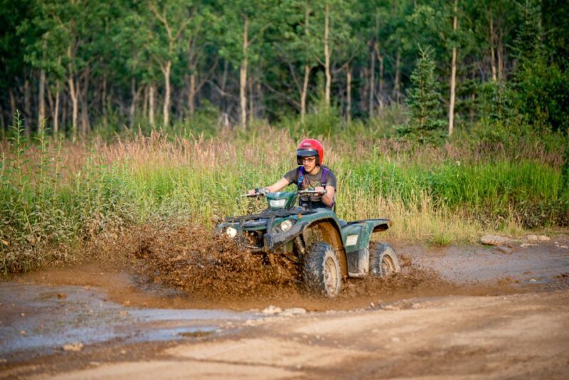 Denali National Park: Wilderness ATV Adventure - Possible Drawbacks and Considerations