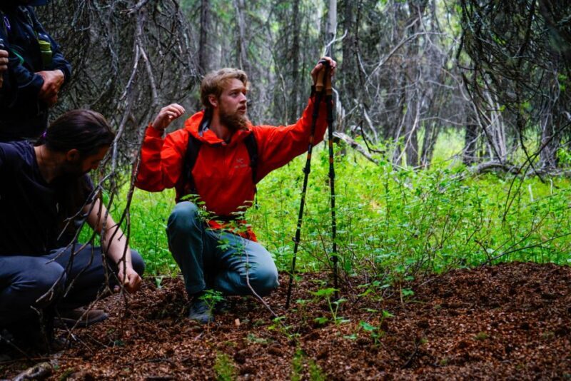 Denali: Naturalist Walking Tour in Denali National Park - Exploring Denali’s Natural Beauty