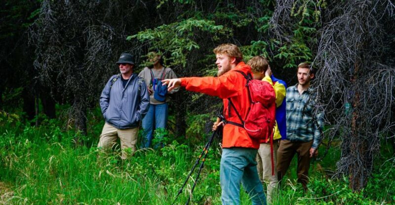Denali: Naturalist Walking Tour in Denali National Park - Final Thoughts: Is It Worth It?