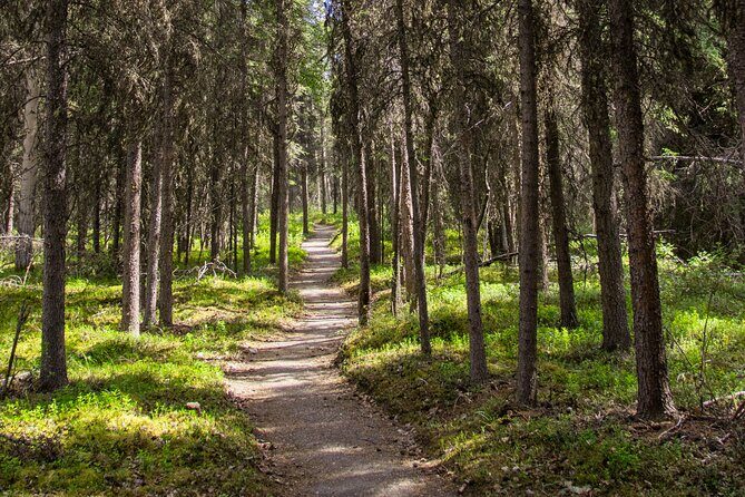 Denali Nature Hike - A Closer Look at the Denali Nature Hike