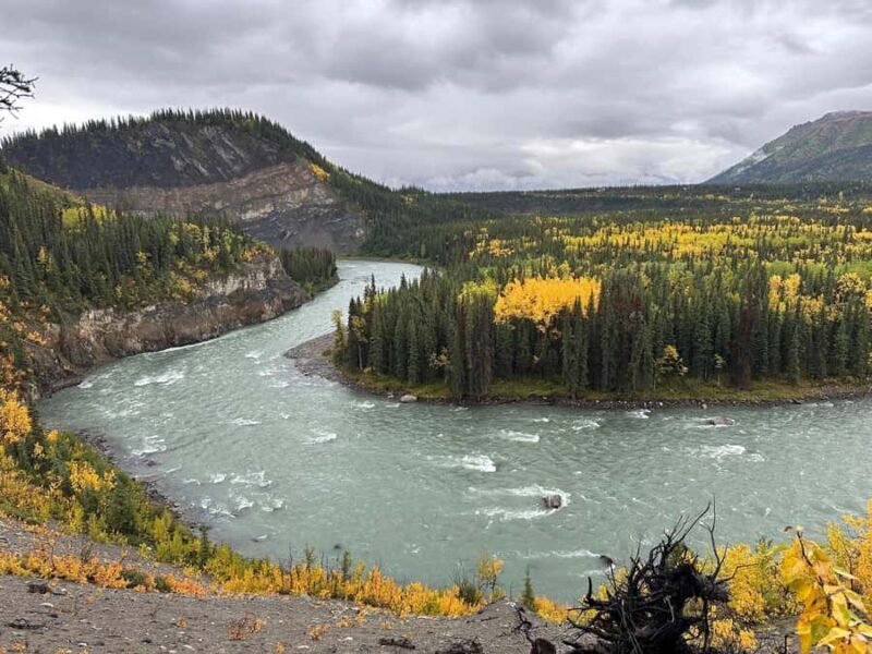 Denali: Nenana River Trail Guided Hike with Pickup - Experience the Wild Beauty of Denali with the Nenana River Trail Guided Hike