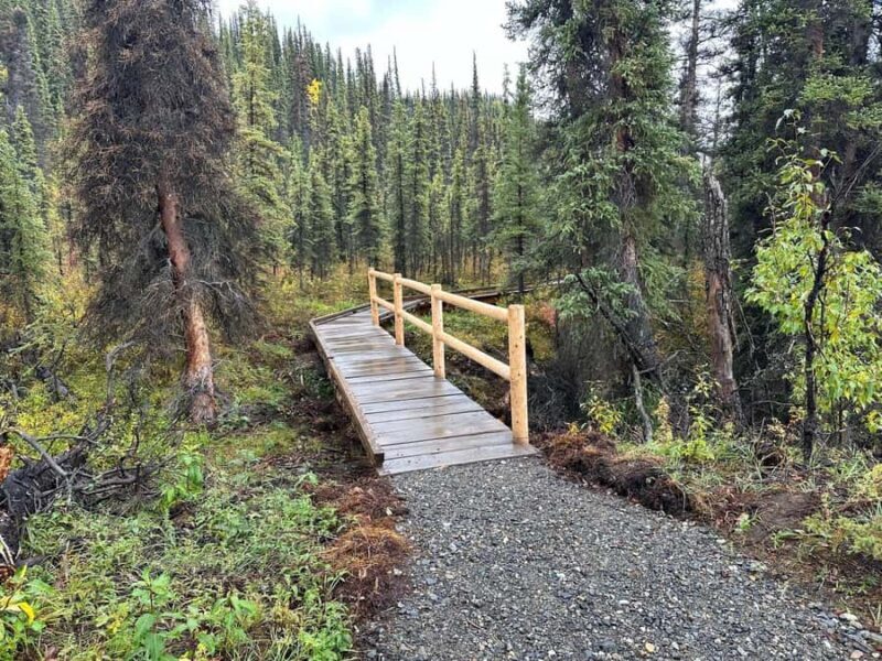 Denali: Nenana River Trail Guided Hike with Pickup - Key Points