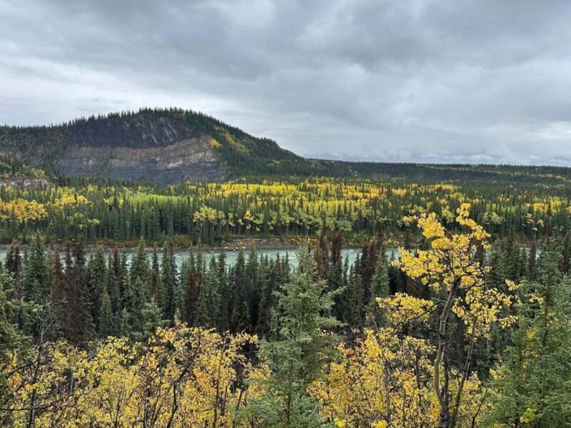 Denali: Nenana River Trail Guided Hike with Pickup - Final Thoughts: Who Will Love This Experience?