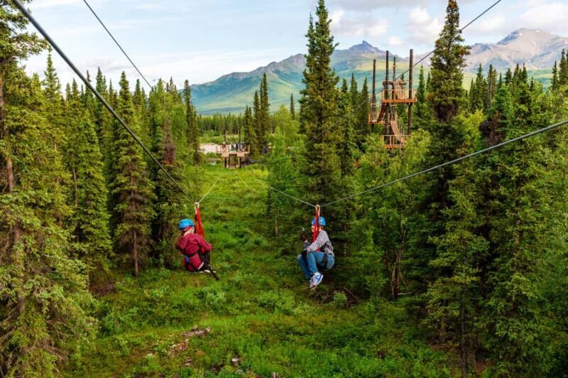 Denali Park Zipline Adventure - Discover the Denali Park Zipline Adventure