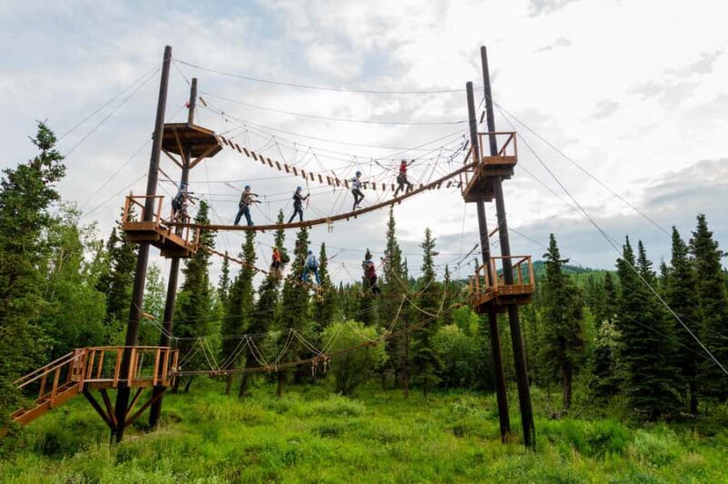 Denali Park Zipline Adventure - Final Thoughts