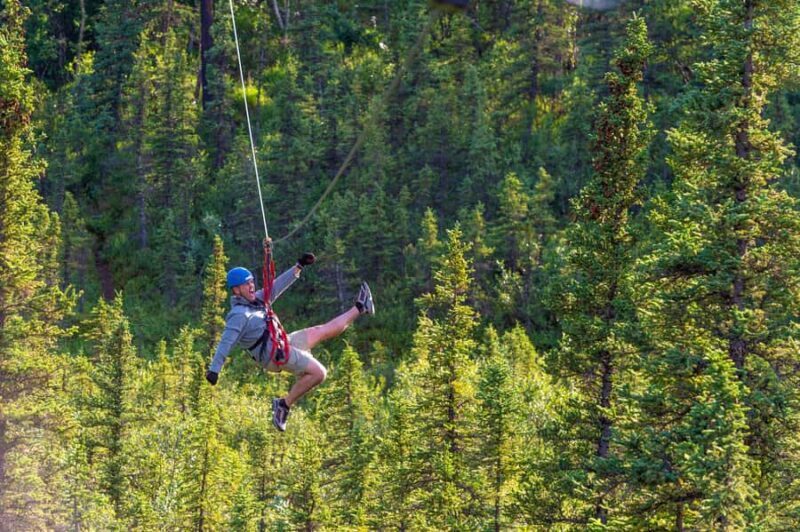 Denali Park Zipline Adventure - FAQs