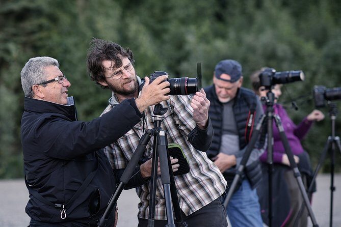 Denali Photo Excursion - Discover the Denali Photo Excursion: A Hands-On Photography Adventure in Alaskas Wilderness