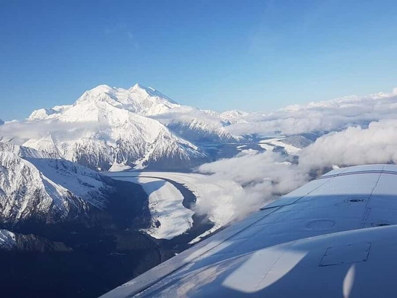 Denali: Scenic Flightseeing Tour Over Denali National Park - Key Points