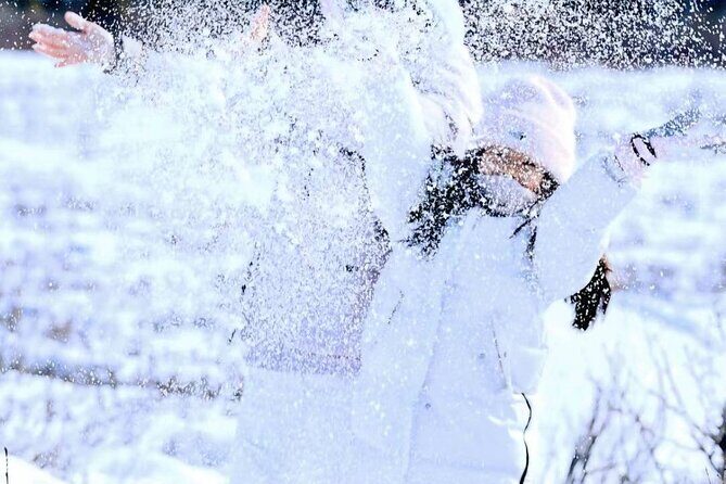 Denali Summer Winter Trial Shuttle with Professional Camera - Wrapping Up: The Value of the Denali Shuttle Tour