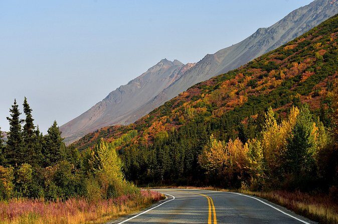 Denali to Anchorage  Scenic Private Shuttle Transfer - Final Thoughts: Is It Worth It?