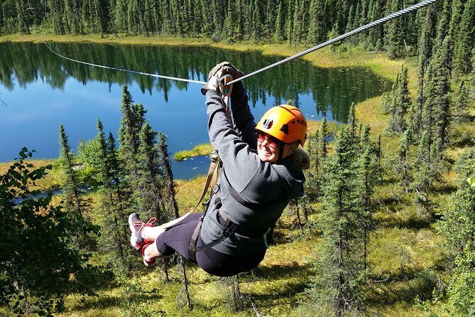 Denali Zipline Tour in Talkeetna, AK - What Makes this Tour Stand Out?