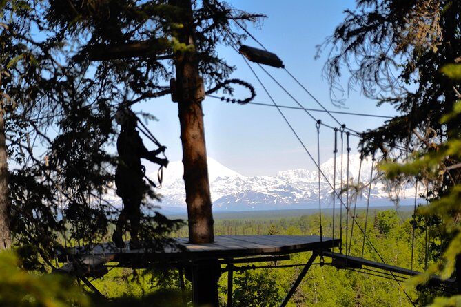 Denali Zipline Tour in Talkeetna, AK - The Itinerary: What’s Involved?