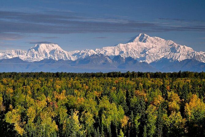 Denali Zipline Tour in Talkeetna, AK - Group Size and Booking