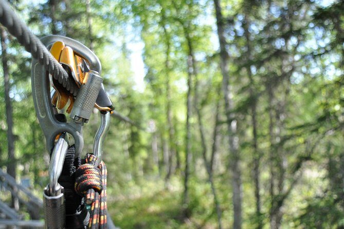 Denali Zipline Tour in Talkeetna, AK - Authentic Experiences and Reviews