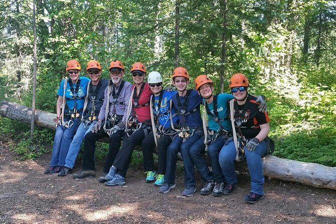 Denali Zipline Tour in Talkeetna, AK - Why the High Ratings?