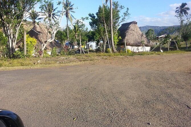 Denarau Hotels to Nadi Airport (Private Departure Transfer) - Final Thoughts