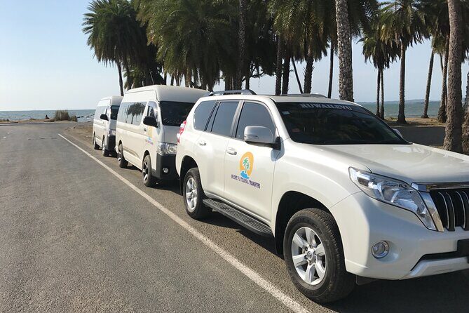 Denarau Hotels to Nadi Airport (Private Transfer) - Key Points