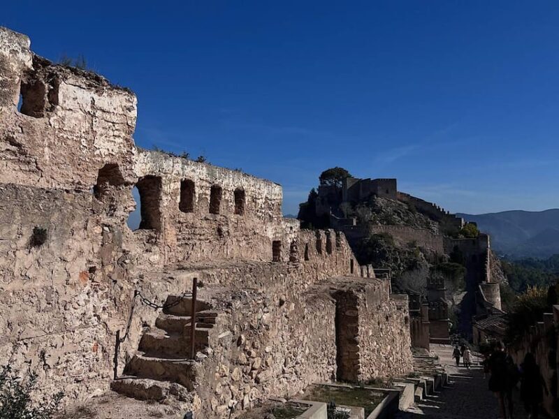 Denia: Guided Walking Tour - Who Will Love This Tour?