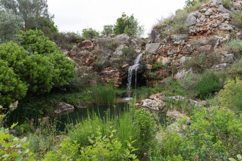 Denia: L'Albarda Garden Entry Ticket - A Deep Dive into LAlbarda Garden: Nature, Culture, and Serenity