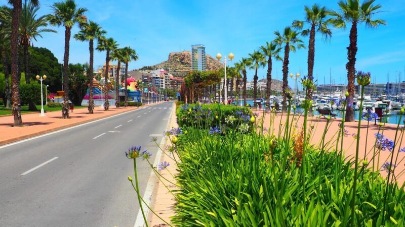 Denia - Old Town Private Walking Tour - Who Should Choose This Tour?