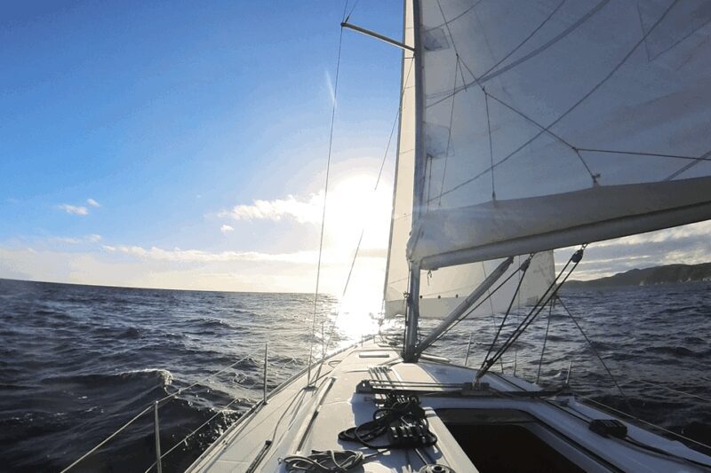 Denia: Sunset Electric Sailboat Cruise with Dolphin Spotting - An Authentic, Environmentally Friendly Marine Adventure