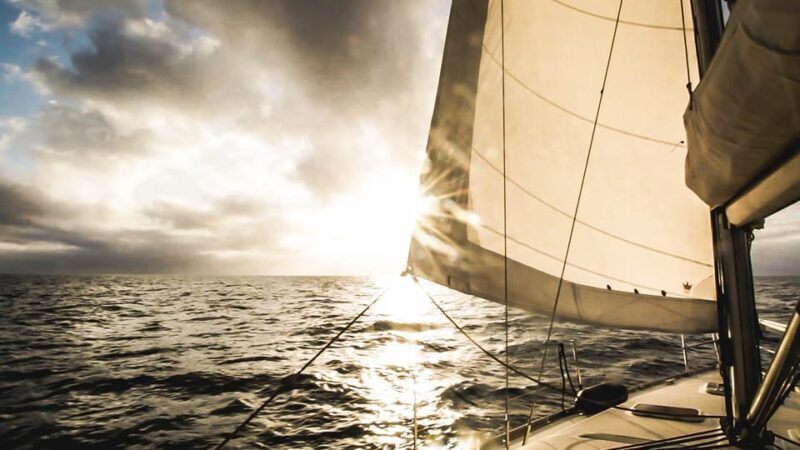 Denia: Sunset Electric Sailboat Cruise with Dolphin Spotting - Who Will Benefit Most?