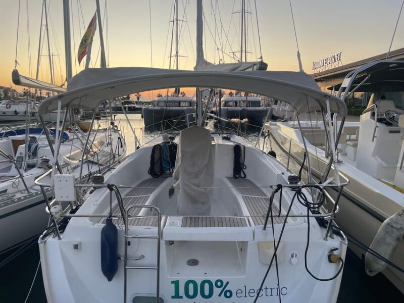 Denia: Whale and Dolphin Watching Morning Experience - The Value of the Experience