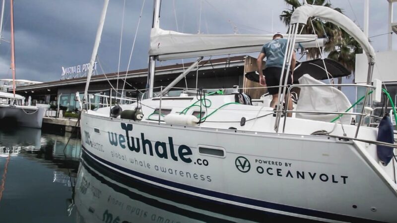 Denia: Whale and Dolphin Watching Morning Experience - Who Will Love This Tour?