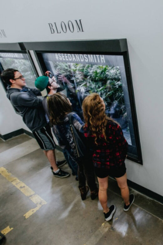 Denver: Buds & Brews Cannabis Grow Tour and Brewery Visit - The Verdict: Who Will Love This Tour?