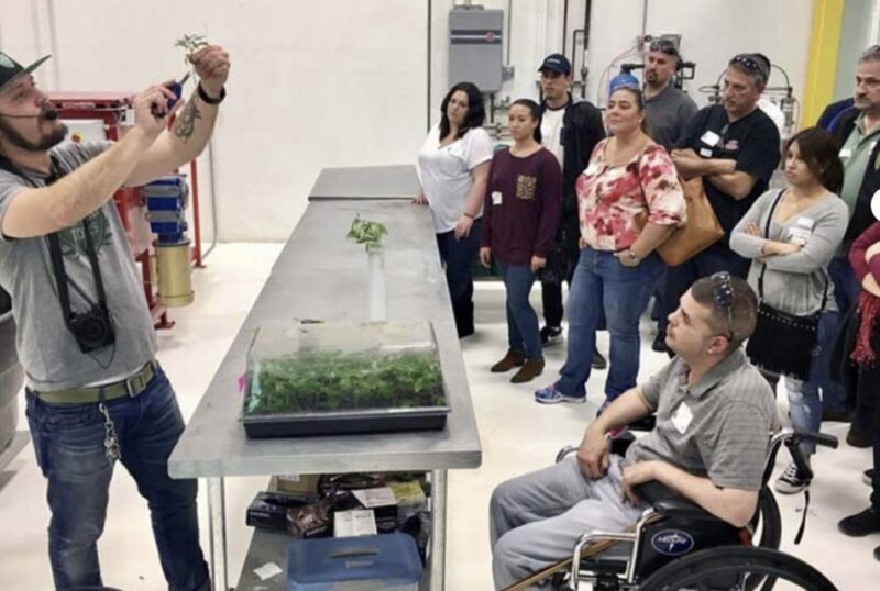 Denver: Cannabis Tour with Grow Facility Access - Who Will Love This Tour?