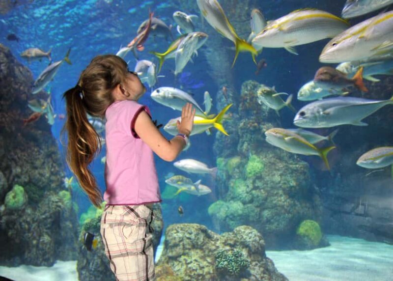 Denver: Downtown Aquarium All-Day Pass - Denver: Downtown Aquarium All-Day Pass — A Family-Friendly Marine Adventure
