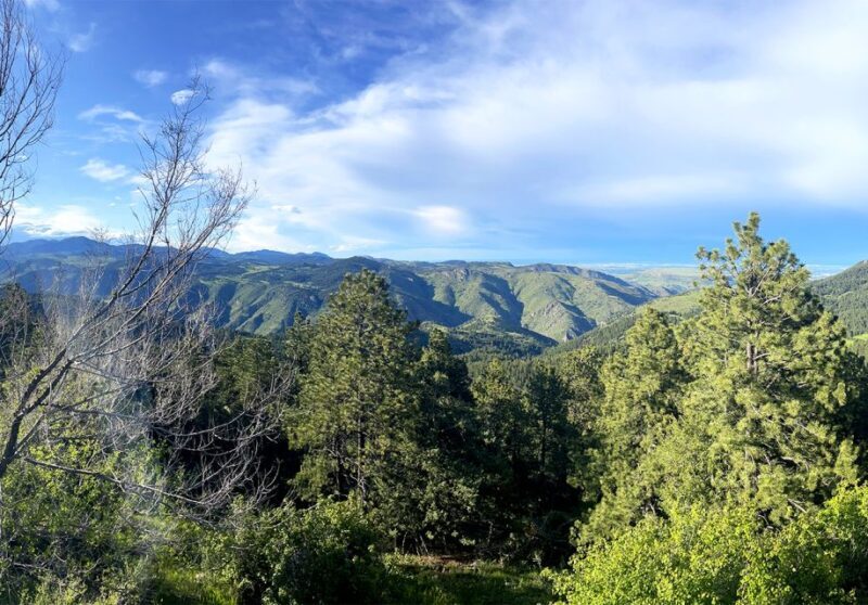 Denver: Get High on a Mountain Tour with Sunset Views - A Closer Look at the Experience