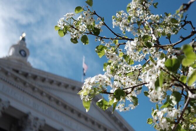 Denver, Golden, Lookout Mountain - Frequently Asked Questions